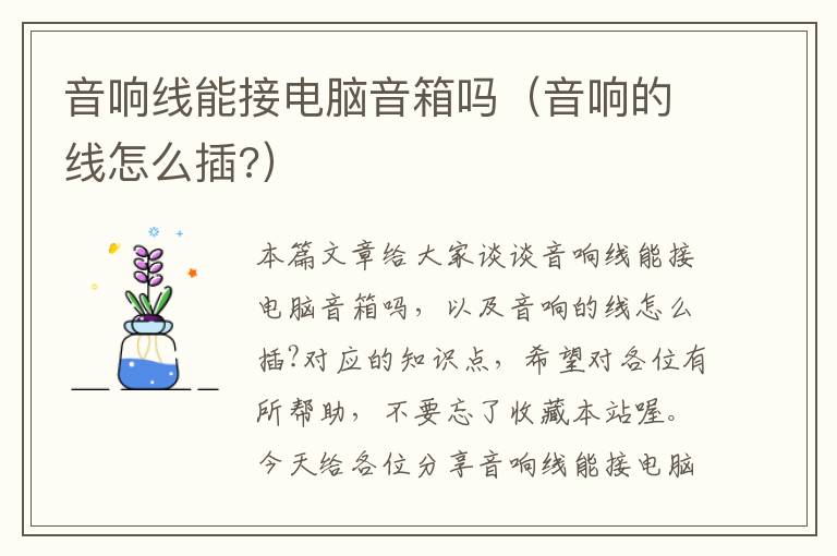 音响线能接电脑音箱吗（音响的线怎么插?）