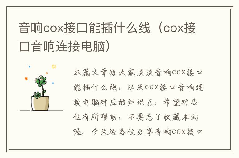 音响cox接口能插什么线（cox接口音响连接电脑）