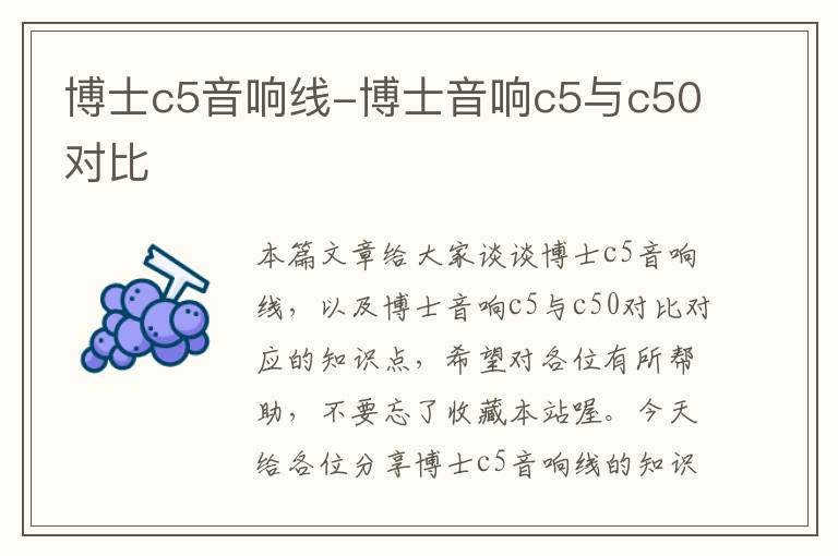 博士c5音响线-博士音响c5与c50对比