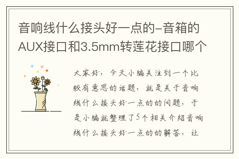 音响线什么接头好一点的-音箱的AUX接口和3.5mm转莲花接口哪个音质好