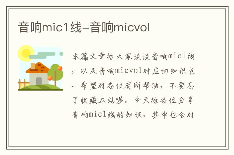 音响mic1线-音响micvol