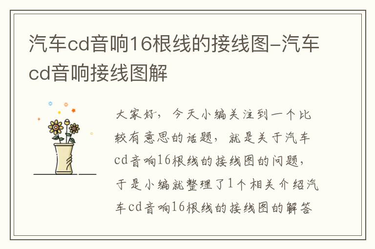 汽车cd音响16根线的接线图-汽车cd音响接线图解