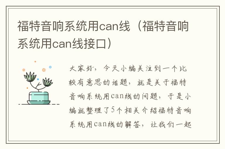 福特音响系统用can线（福特音响系统用can线接口）