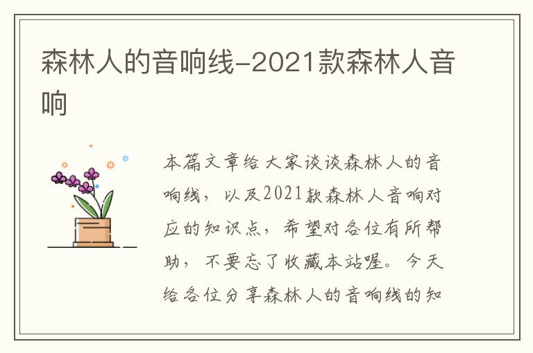 森林人的音响线-2021款森林人音响