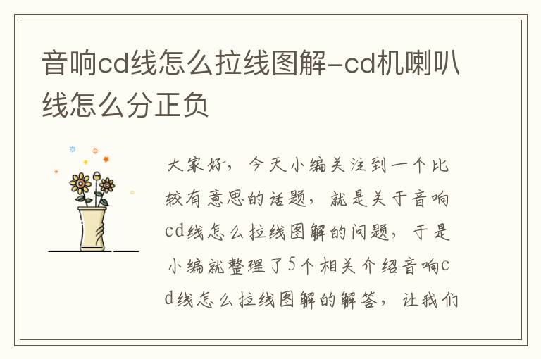 音响cd线怎么拉线图解-cd机喇叭线怎么分正负