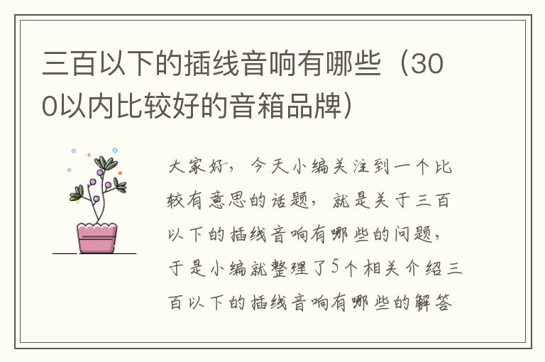 三百以下的插线音响有哪些（300以内比较好的音箱品牌）