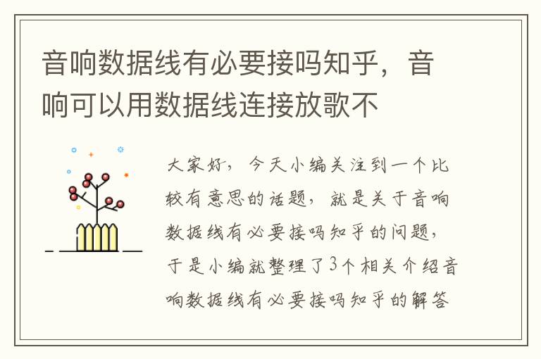 音响数据线有必要接吗知乎，音响可以用数据线连接放歌不