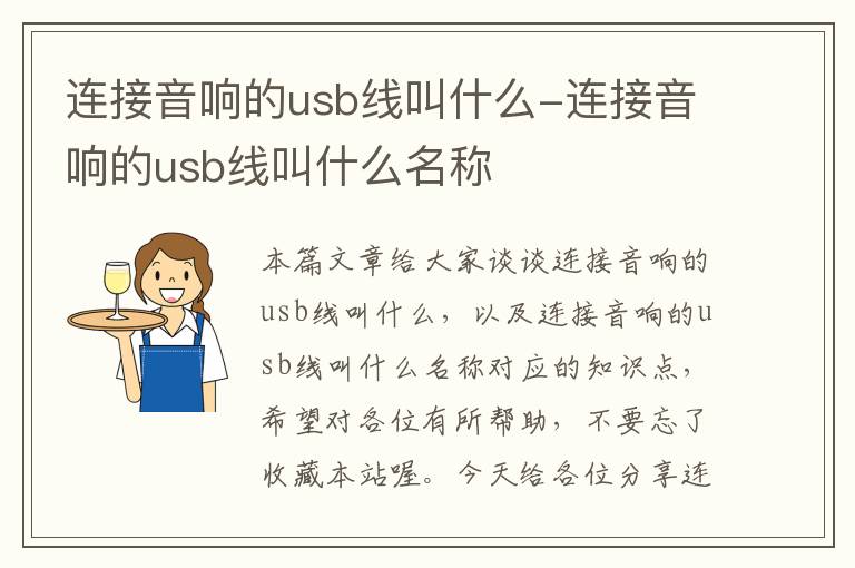 连接音响的usb线叫什么-连接音响的usb线叫什么名称