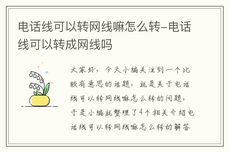 电话线可以转网线嘛怎么转-电话线可以转成网线吗