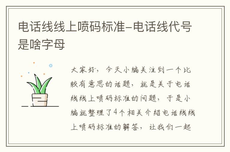 电话线线上喷码标准-电话线代号是啥字母