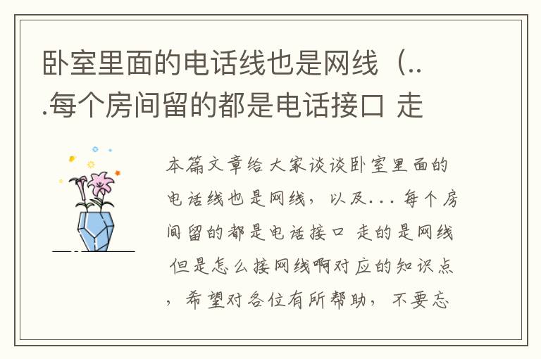 卧室里面的电话线也是网线（...每个房间留的都是电话接口 走的是网线 但是怎么接网线啊）