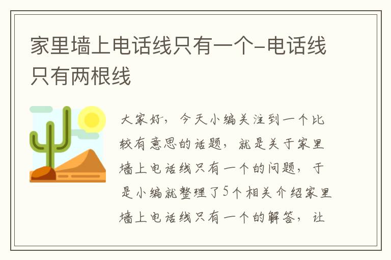 家里墙上电话线只有一个-电话线只有两根线