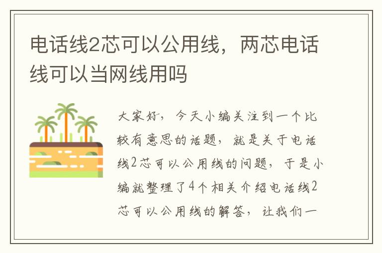 电话线2芯可以公用线，两芯电话线可以当网线用吗