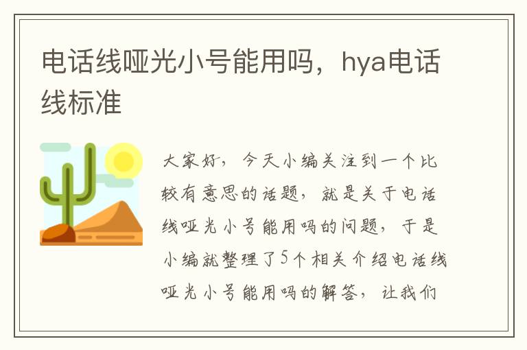 电话线哑光小号能用吗，hya电话线标准