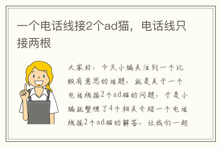 一个电话线接2个ad猫，电话线只接两根