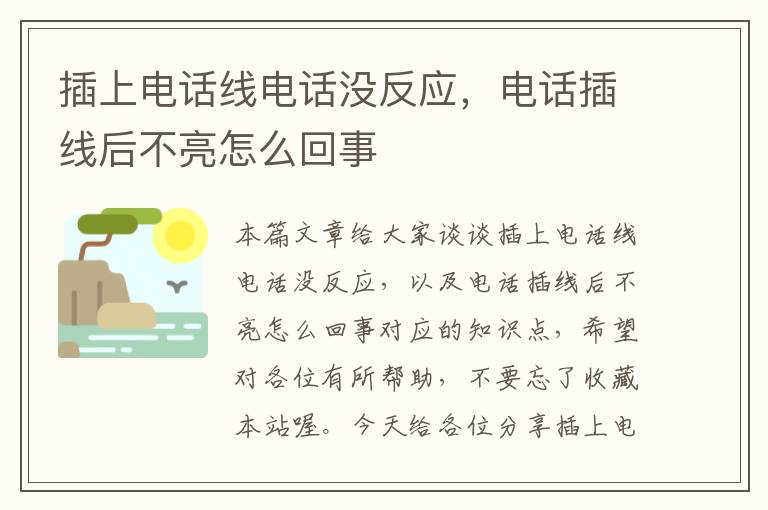 插上电话线电话没反应，电话插线后不亮怎么回事