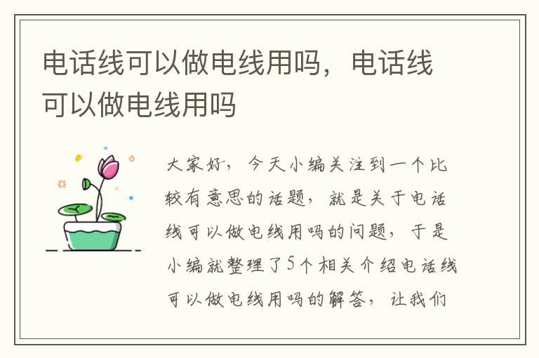 电话线可以做电线用吗，电话线可以做电线用吗