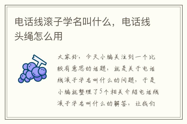 电话线滚子学名叫什么，电话线头绳怎么用