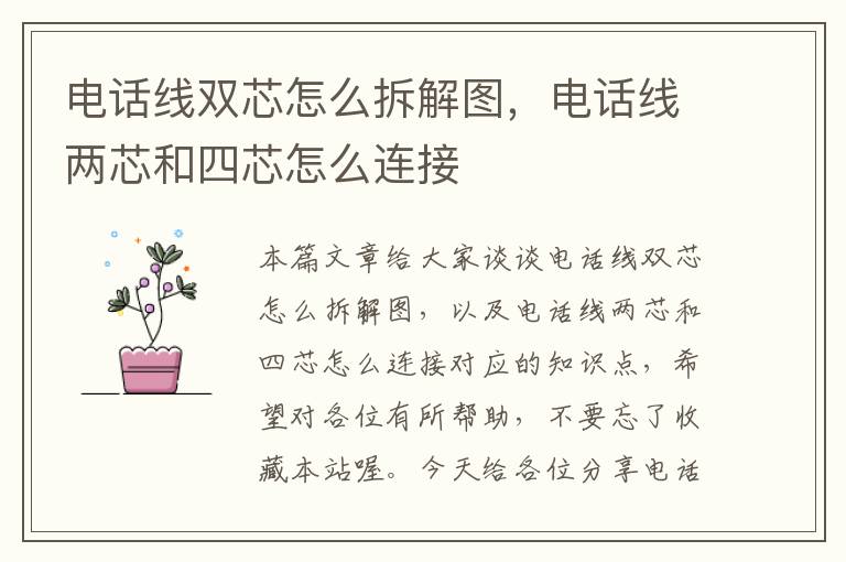 电话线双芯怎么拆解图，电话线两芯和四芯怎么连接