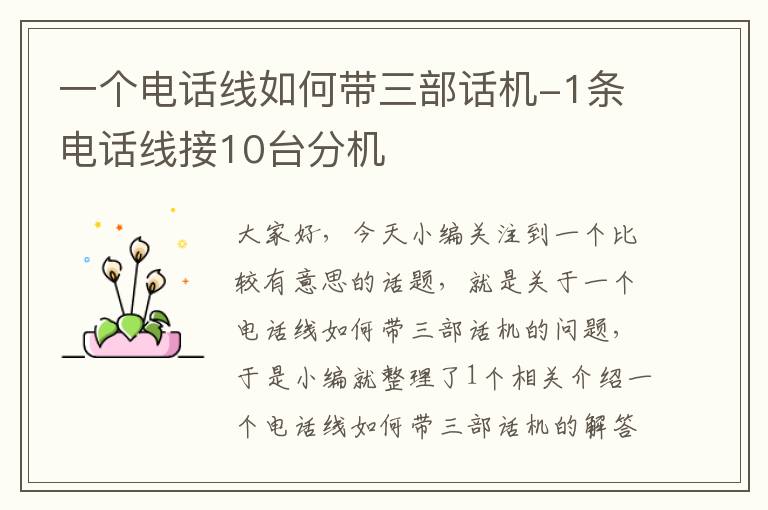 一个电话线如何带三部话机-1条电话线接10台分机