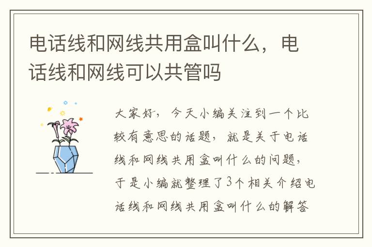 电话线和网线共用盒叫什么，电话线和网线可以共管吗