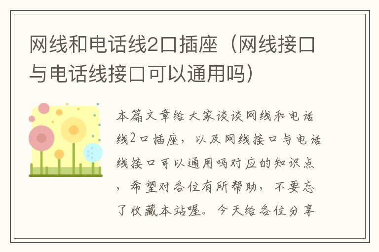 网线和电话线2口插座（网线接口与电话线接口可以通用吗）