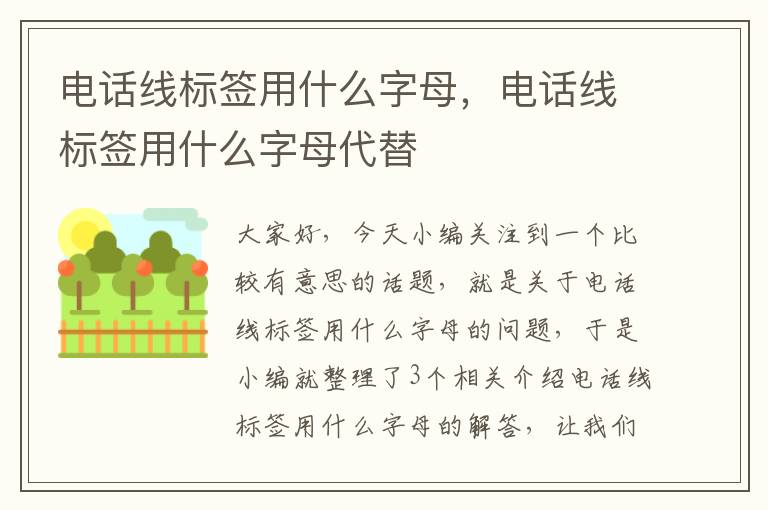 电话线标签用什么字母，电话线标签用什么字母代替