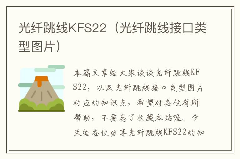 光纤跳线KFS22（光纤跳线接口类型图片）