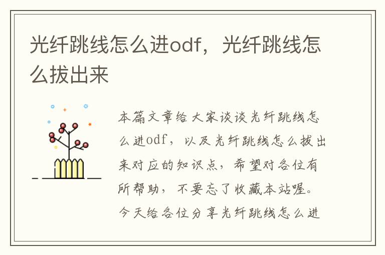 光纤跳线怎么进odf，光纤跳线怎么拔出来