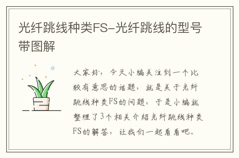 光纤跳线种类FS-光纤跳线的型号带图解