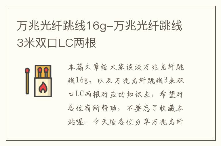 万兆光纤跳线16g-万兆光纤跳线3米双口LC两根