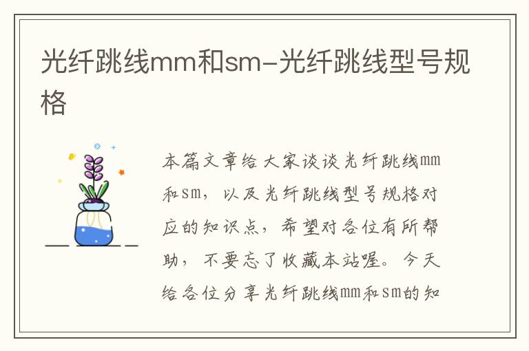 光纤跳线mm和sm-光纤跳线型号规格