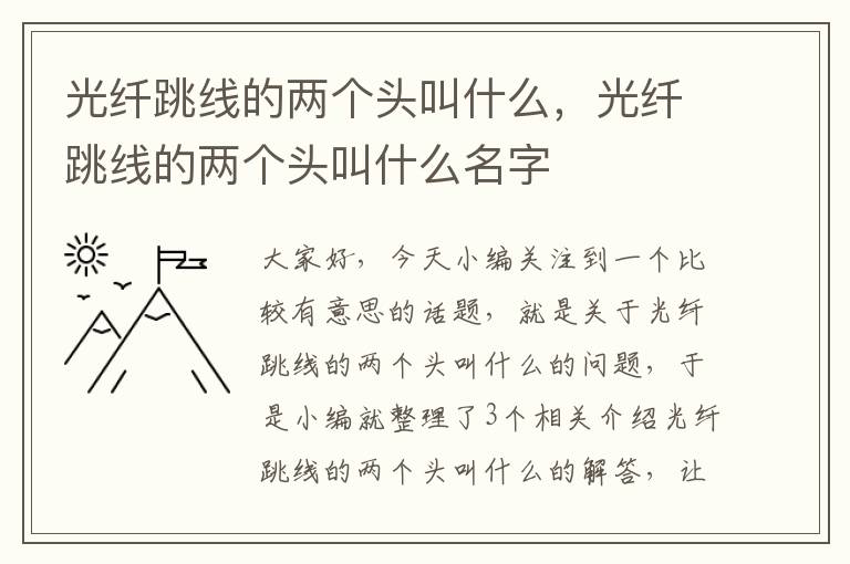 光纤跳线的两个头叫什么，光纤跳线的两个头叫什么名字