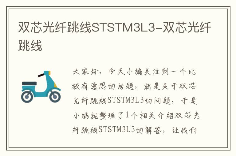 双芯光纤跳线STSTM3L3-双芯光纤跳线