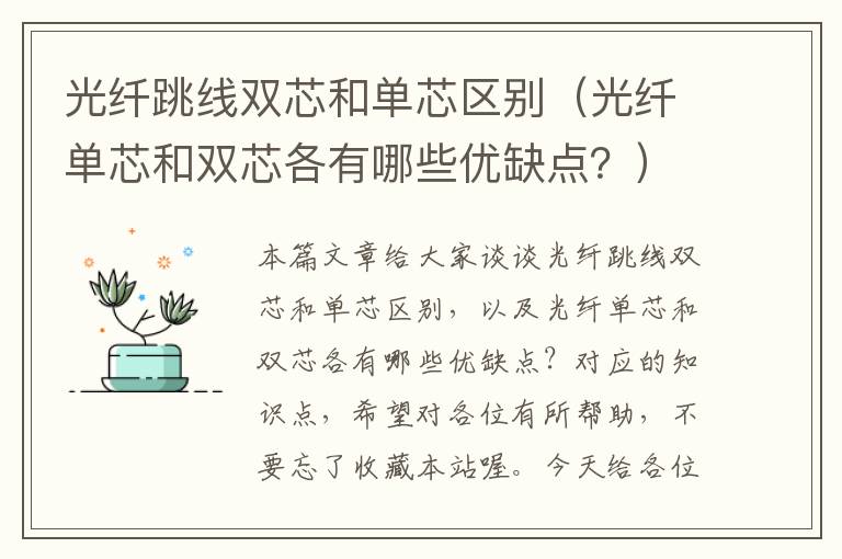 光纤跳线双芯和单芯区别（光纤单芯和双芯各有哪些优缺点？）