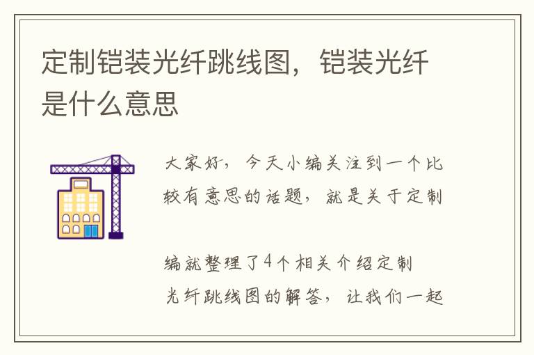 定制铠装光纤跳线图，铠装光纤是什么意思