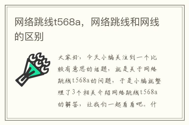 网络跳线t568a，网络跳线和网线的区别