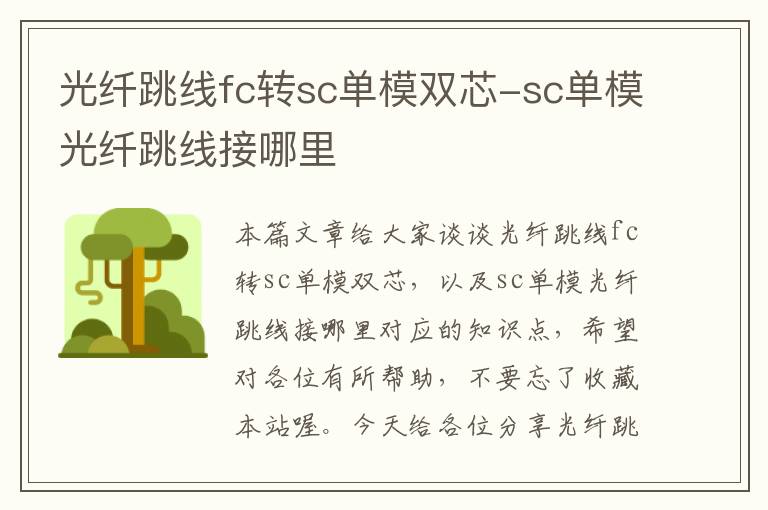 光纤跳线fc转sc单模双芯-sc单模光纤跳线接哪里