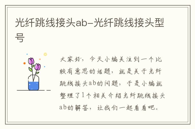 光纤跳线接头ab-光纤跳线接头型号