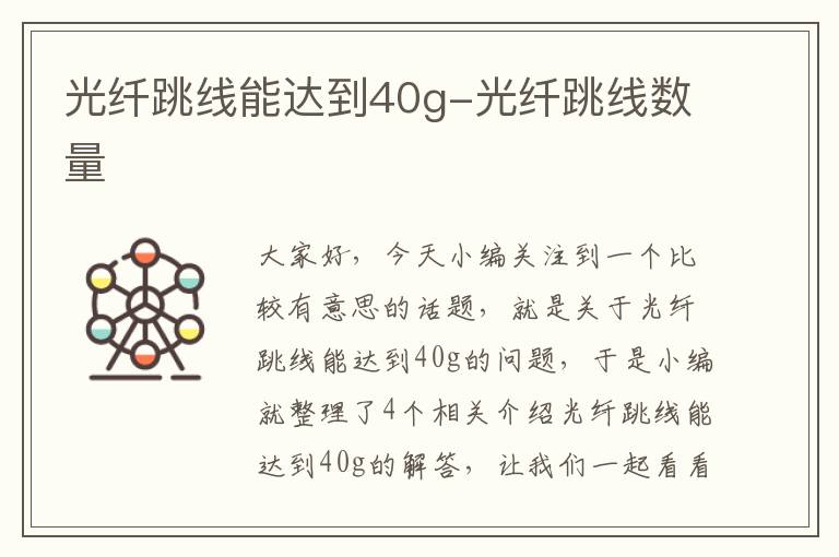 光纤跳线能达到40g-光纤跳线数量