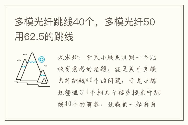 多模光纤跳线40个，多模光纤50用62.5的跳线