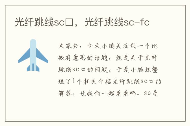 光纤跳线sc口，光纤跳线sc-fc