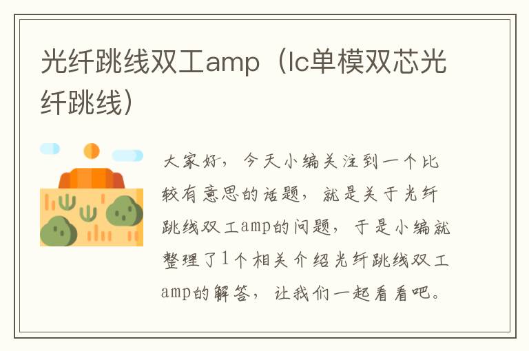 光纤跳线双工amp（lc单模双芯光纤跳线）