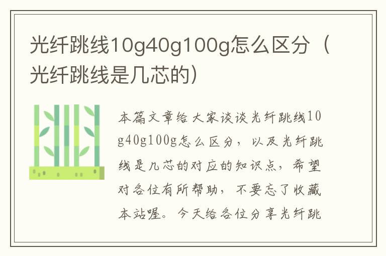 光纤跳线10g40g100g怎么区分（光纤跳线是几芯的）