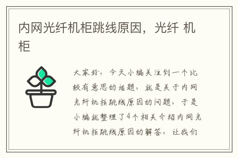 内网光纤机柜跳线原因，光纤 机柜