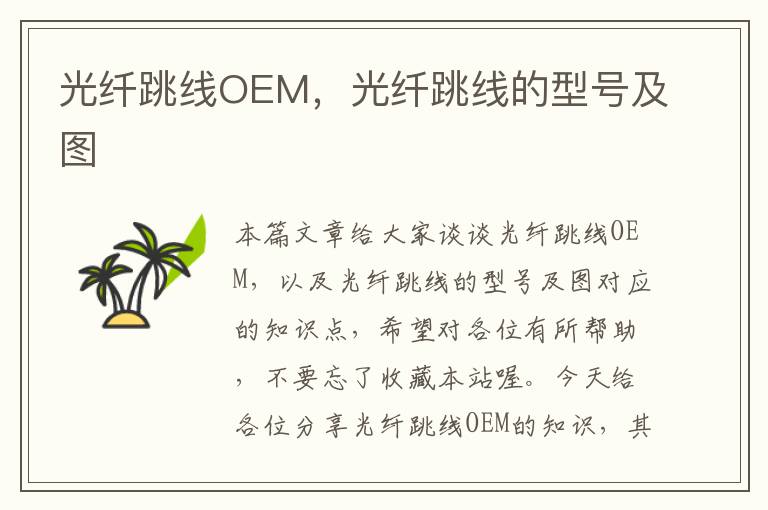 光纤跳线OEM，光纤跳线的型号及图