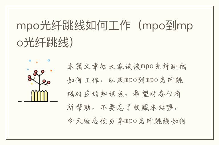 mpo光纤跳线如何工作（mpo到mpo光纤跳线）